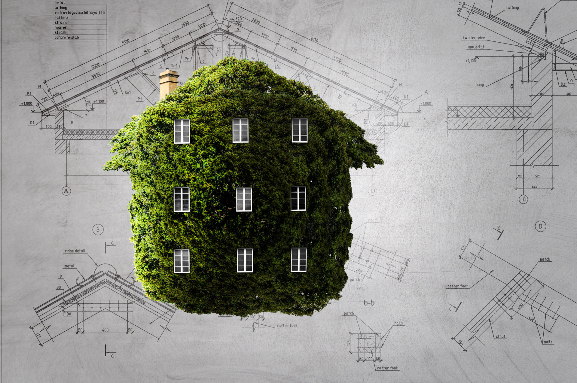 Web series “Architutto…In green”