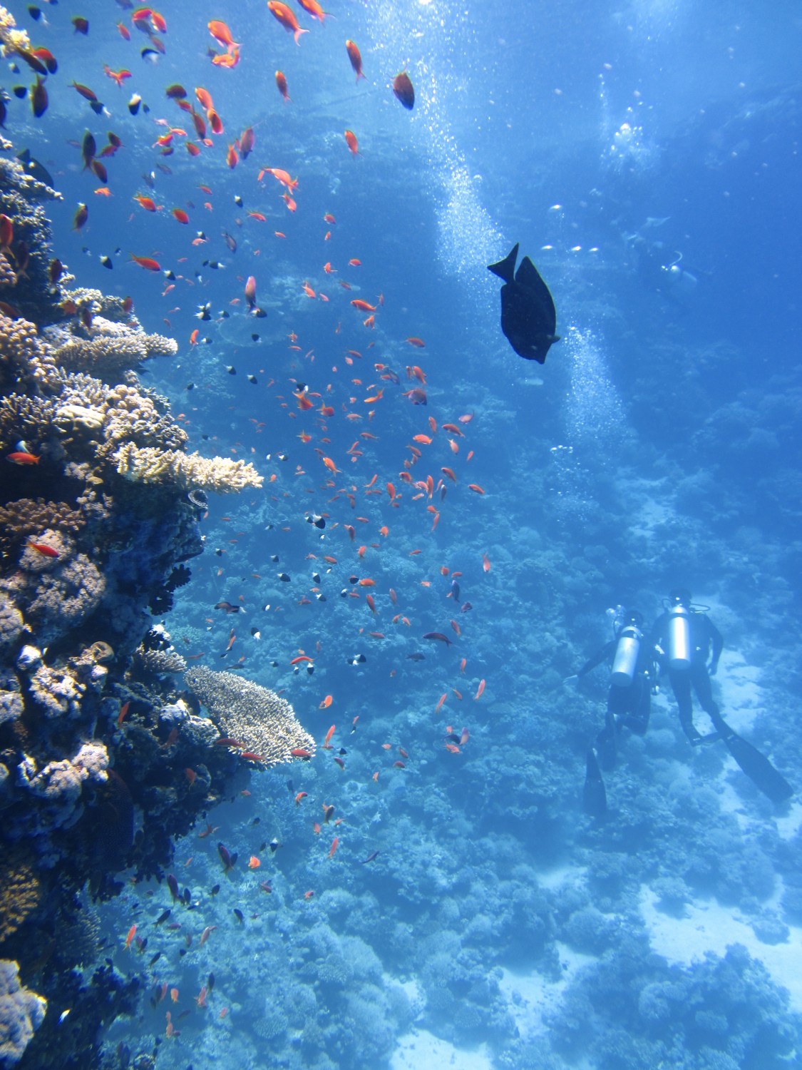 Non si arriverà entro il 2020 a proteggere il 10% delle aree del Mar Mediterraneo