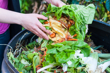 Aumenta lo spreco alimentare: una piaga per la società e l'ambiente Aumenta lo spreco alimentare: una piaga per la società e l'ambiente
