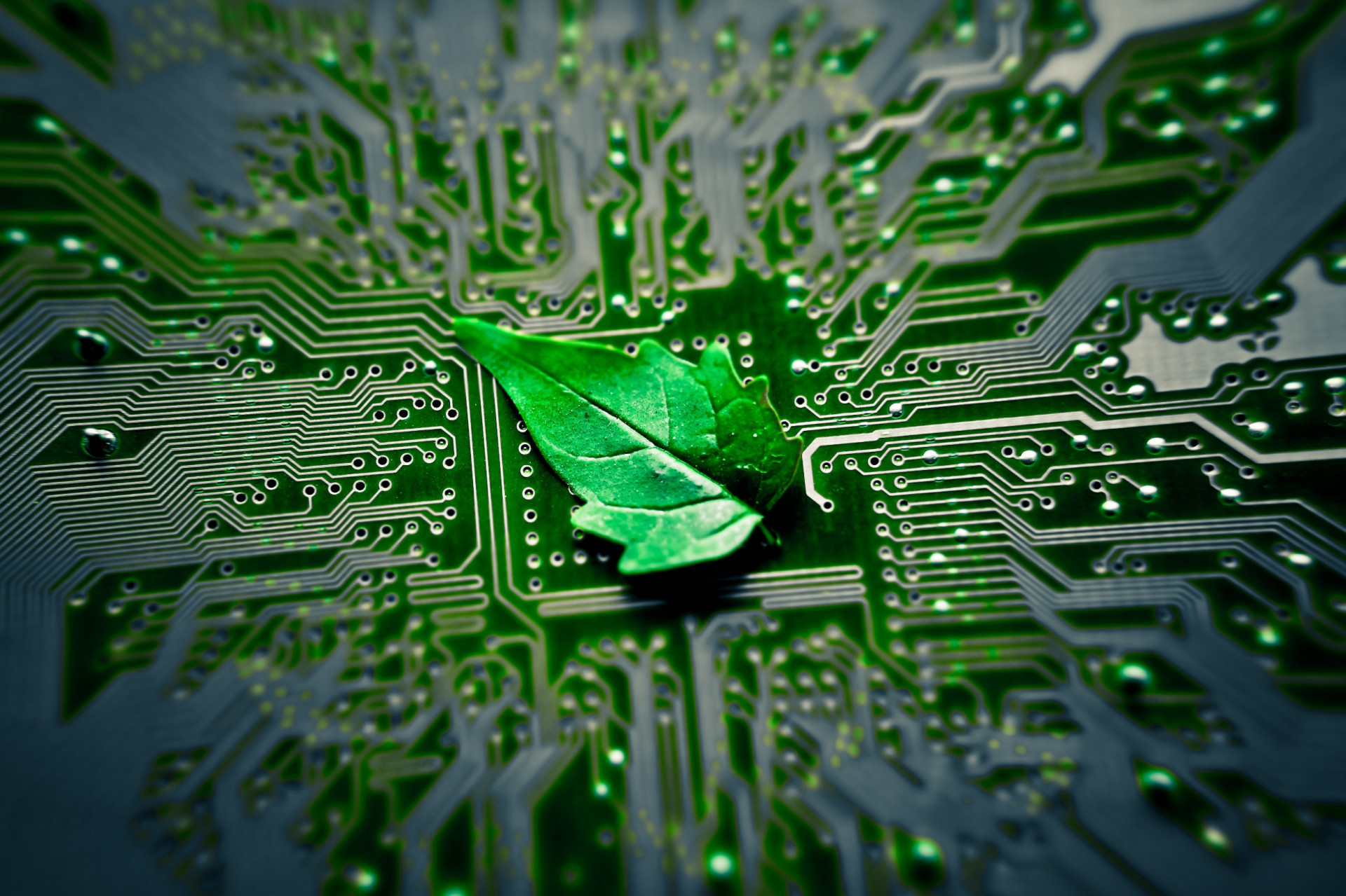 Sviluppo sostenibile: ecco come le tecnologie possono fare la differenza Sviluppo sostenibile: ecco come le tecnologie possono fare la differenza