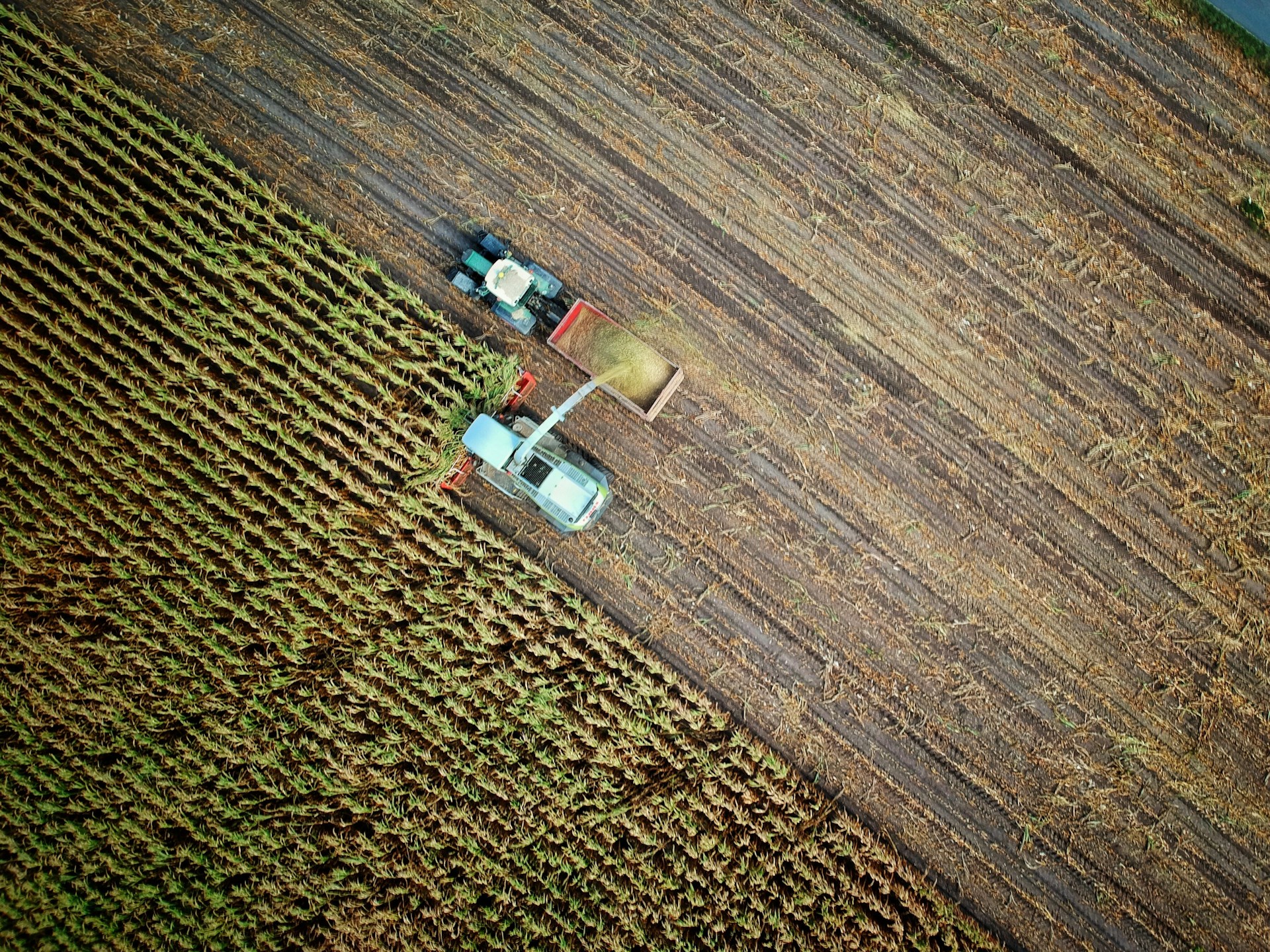 FOCUS. Il difficile percorso per un’agricoltura ecologica ed economicamente sostenibile