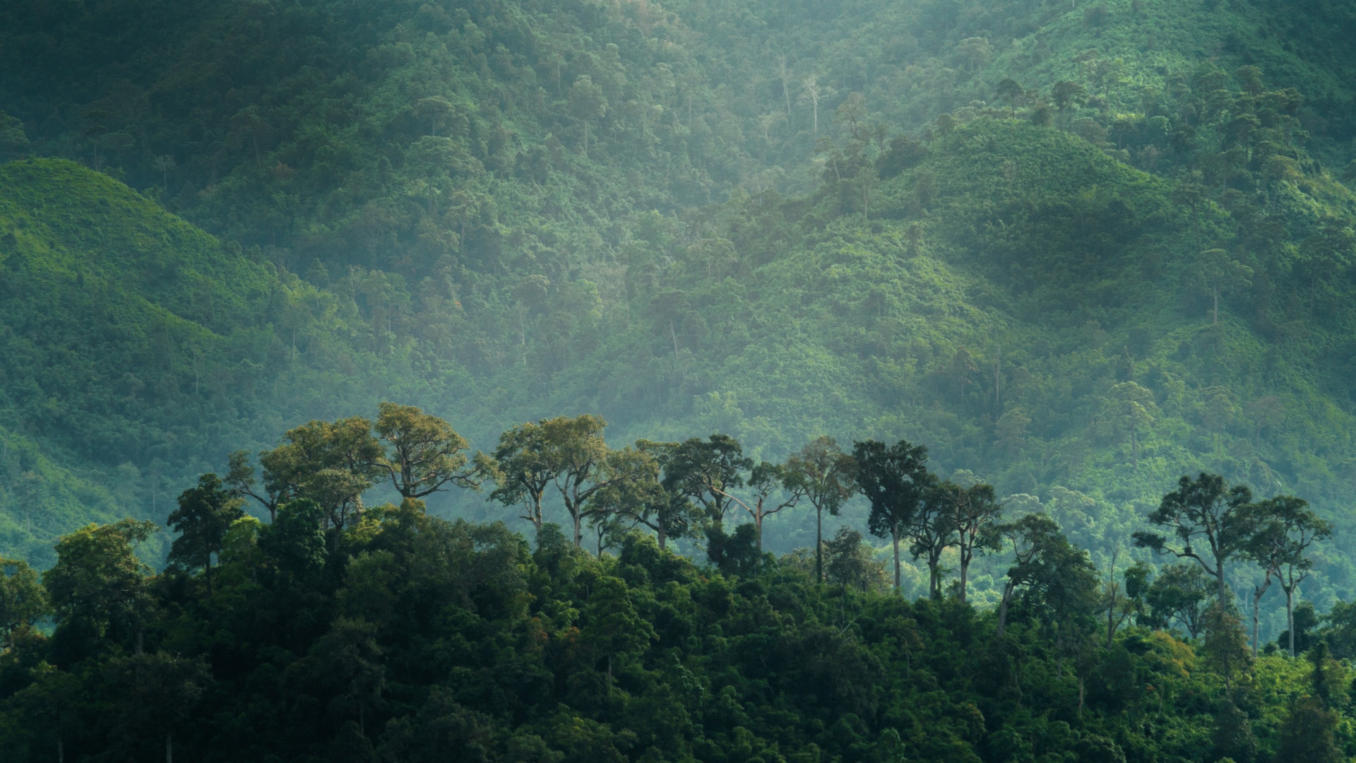 Summit sull'Amazzonia