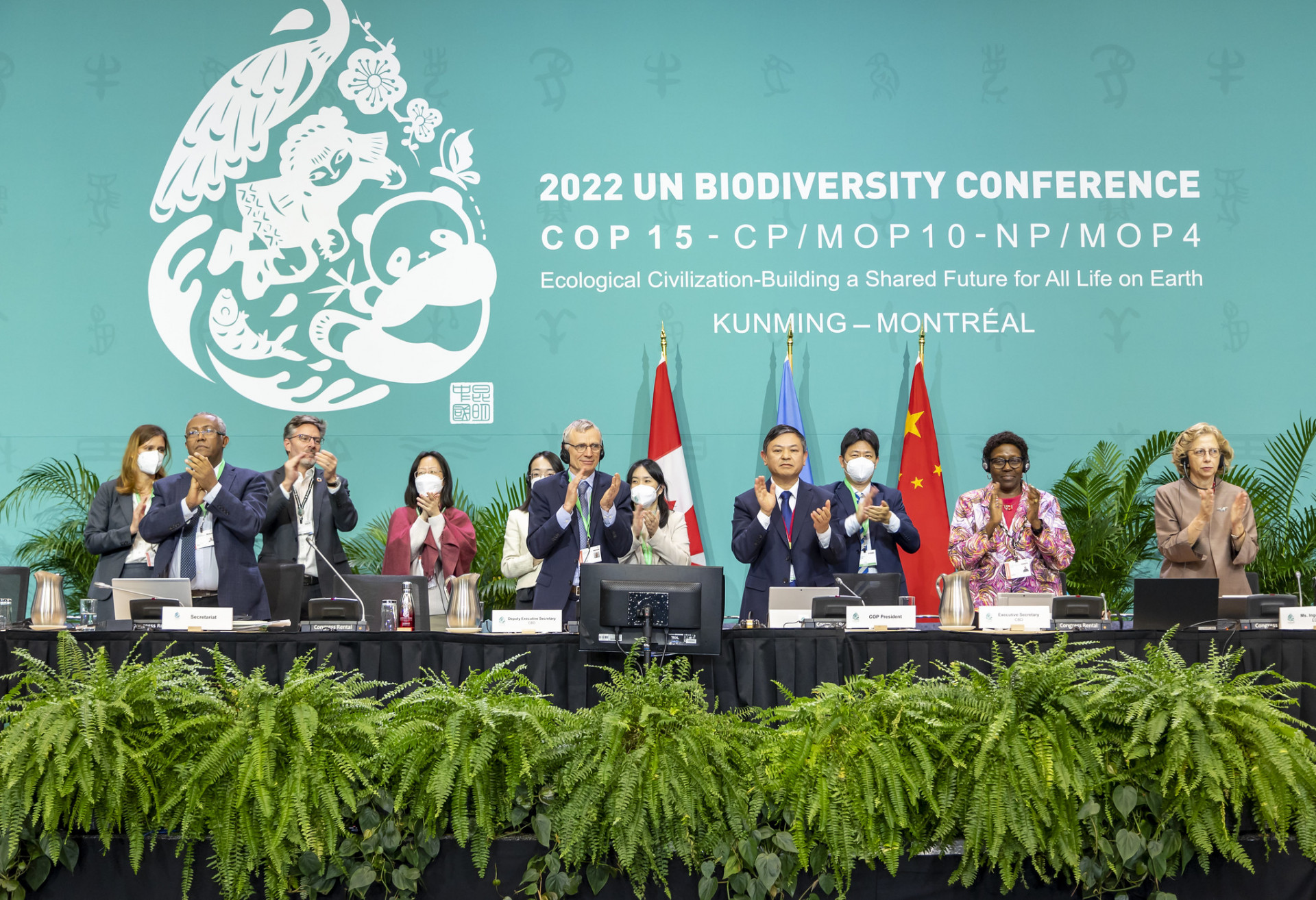 L’accordo sulla biodiversità che proverà a fermare l’era dell’estinzione L’accordo sulla biodiversità che proverà a fermare l’era dell’estinzione