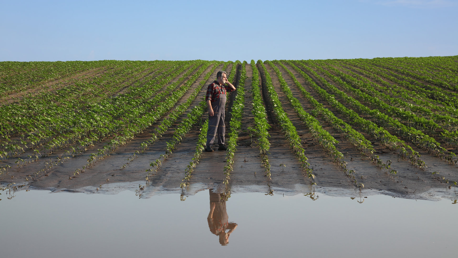 Pubblicato il Piano nazionale di adattamento ai cambiamenti climatici