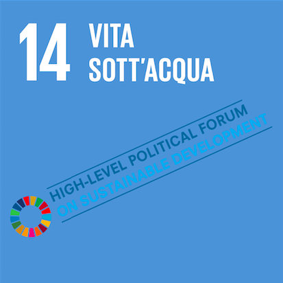 All’Hlpf si ribadisce l’importanza dell’uso sostenibile delle risorse marine e oceaniche All’Hlpf si ribadisce l’importanza dell’uso sostenibile delle risorse marine e oceaniche