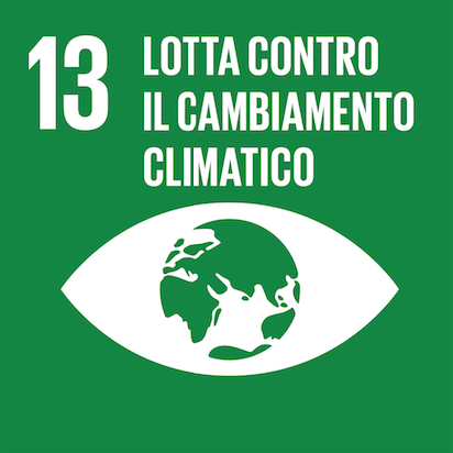 Ripartire dalla Cop 30
