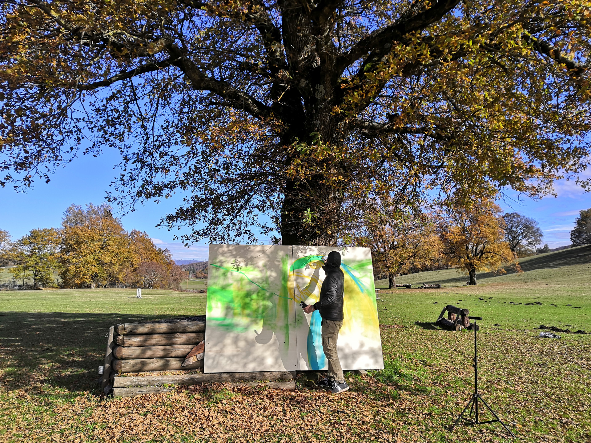 World soil day, tutelare gli alberi per salvare i suoli: ecco il progetto Aura World soil day