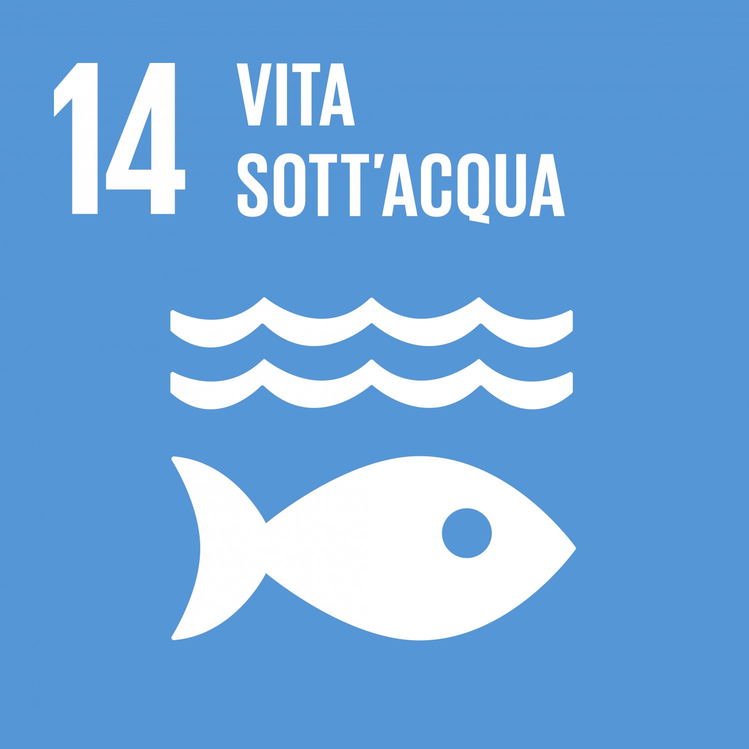 La biodiversità marina è un bene comune: il Trattato Onu “Bbnj” è ora in vigore