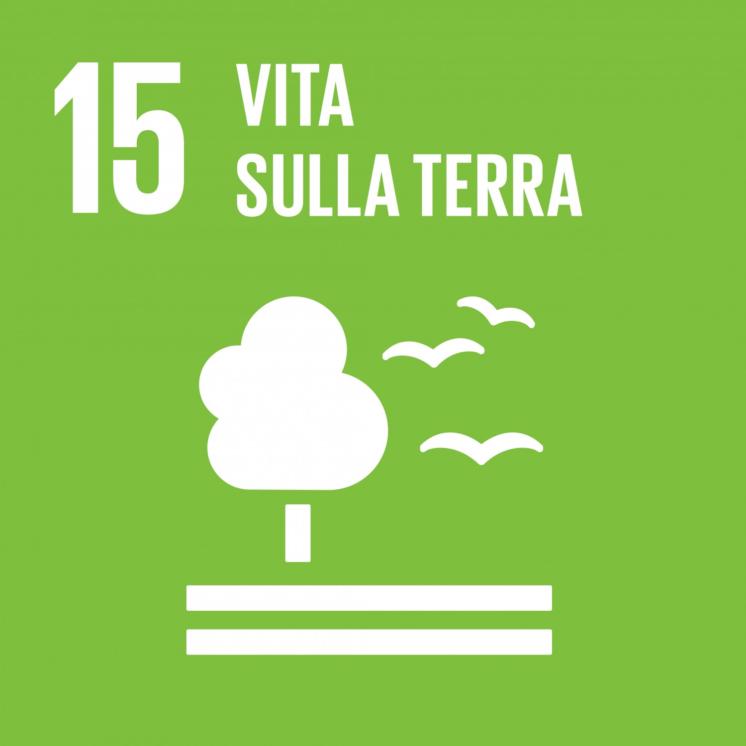 Un modello di agriturismo sostenibile tra le montagne del Trentino Dalla governance al Biodiversity net gain: guida alle nuove norme Iso