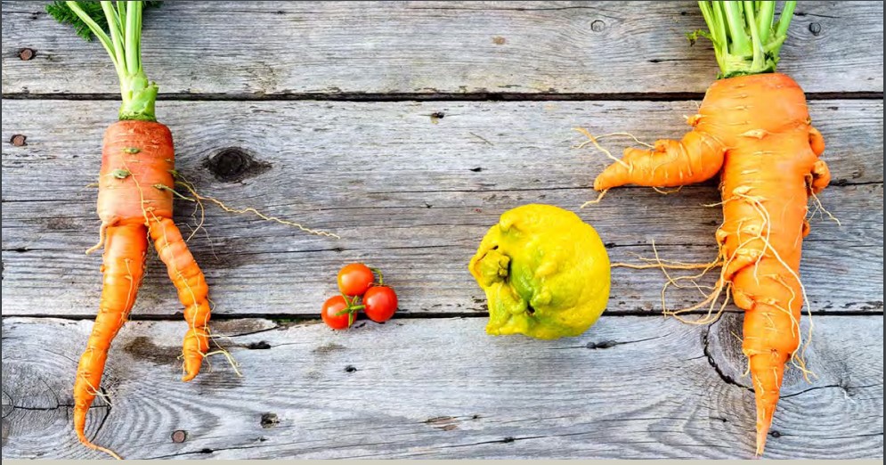 Food Waste Index: quasi un quinto del cibo nel mondo finisce nel cestino Food Waste Index: quasi un quinto del cibo nel mondo finisce nel cestino