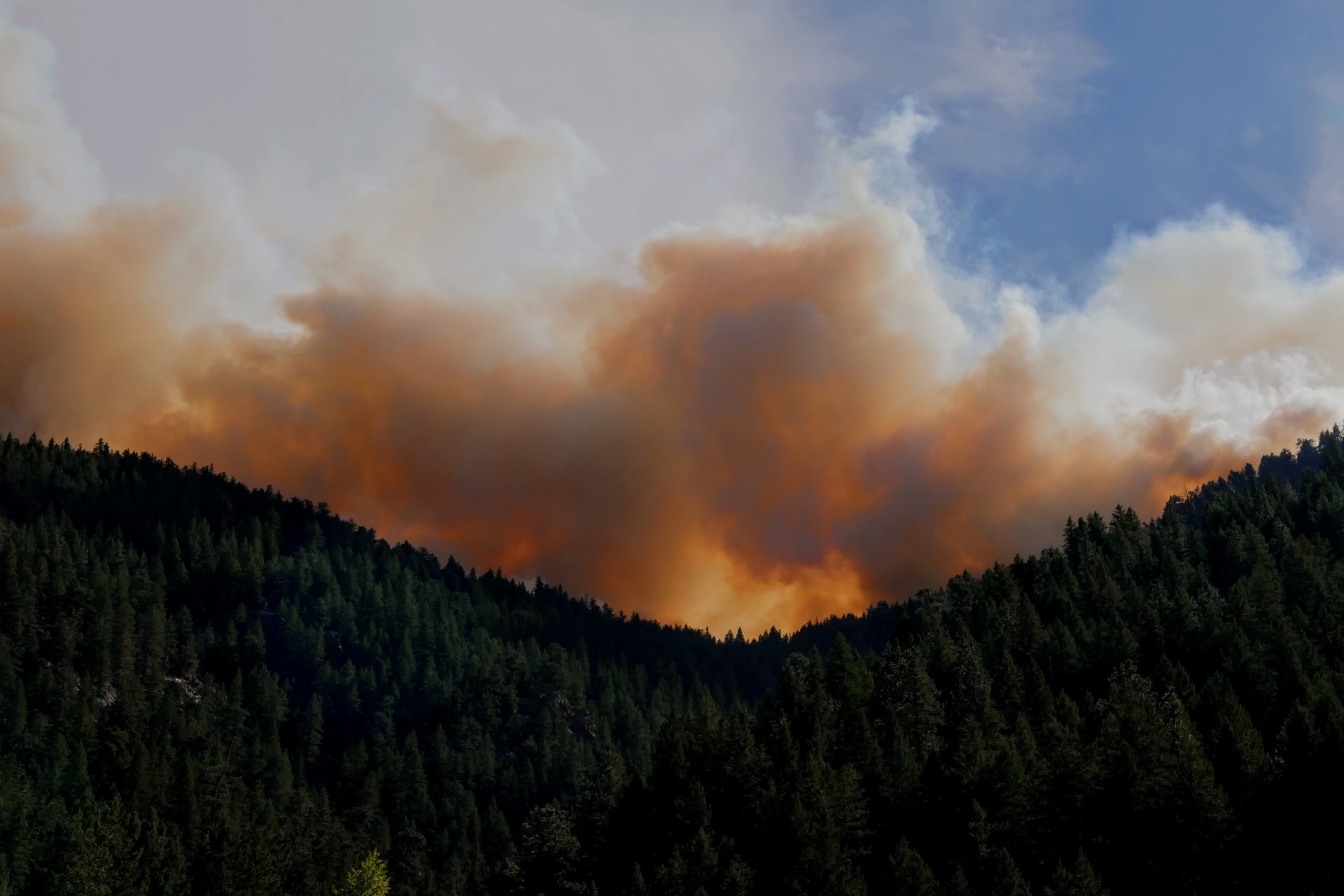 Rumore, incendi e cambiamenti fenologici: rischi emergenti per il pianeta Rumore