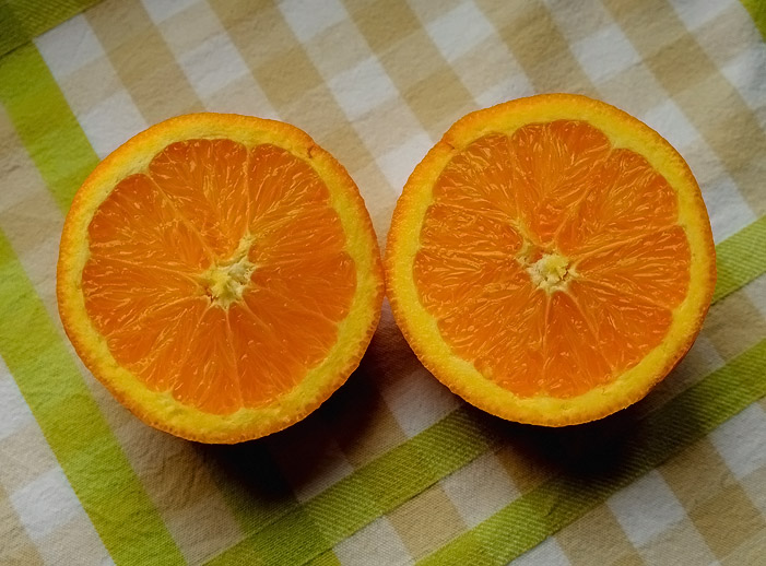 prova giovani