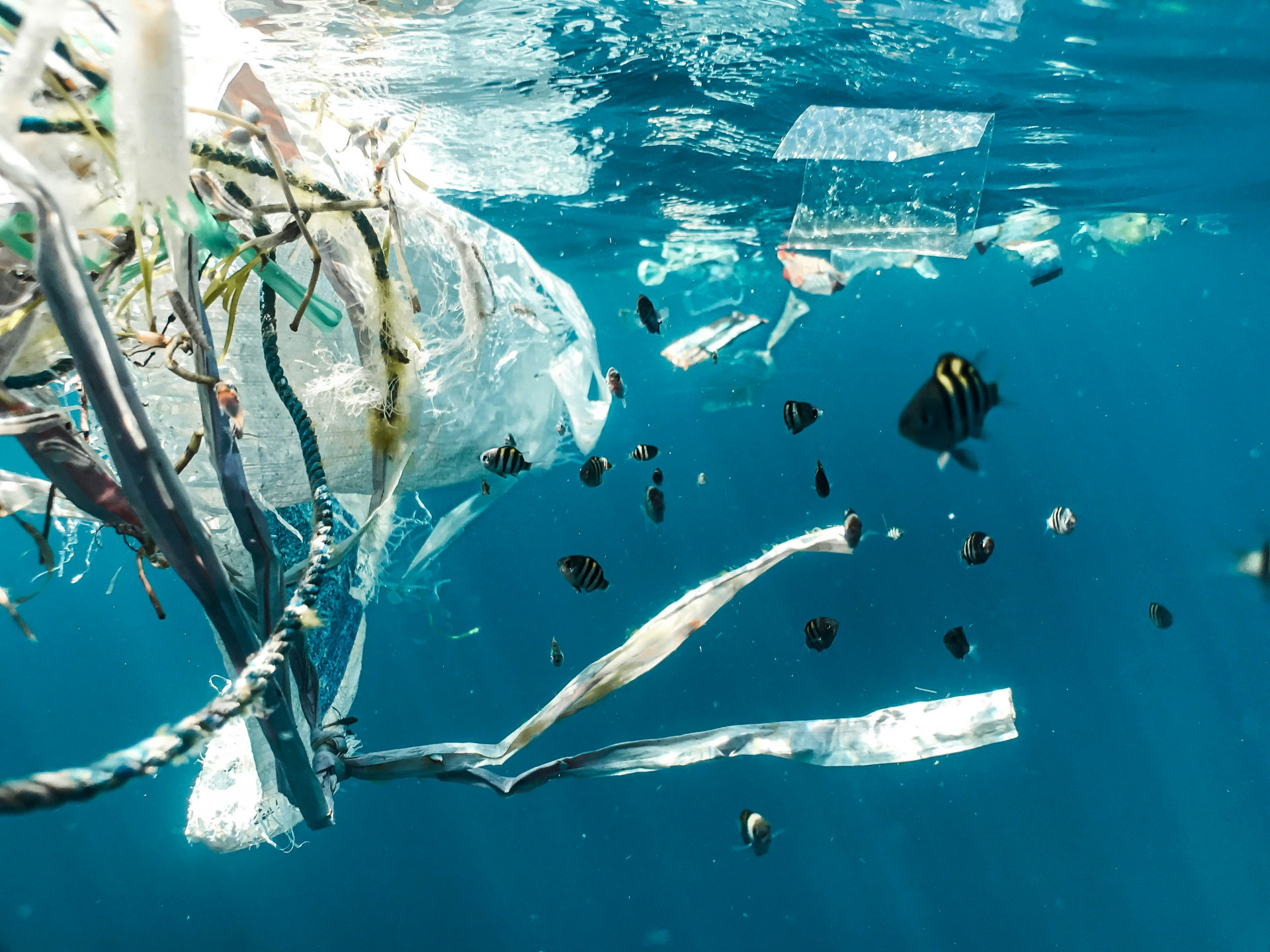 Negoziati ambientali: dalla plastica agli oceani