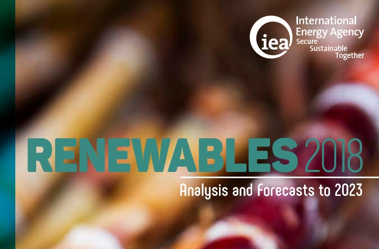 Iea: consumo globale di bioenergia pari a idroelettrico