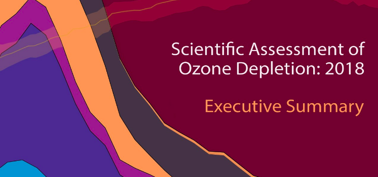 Strato di ozono: un primo successo che fa ben sperare per il futuro