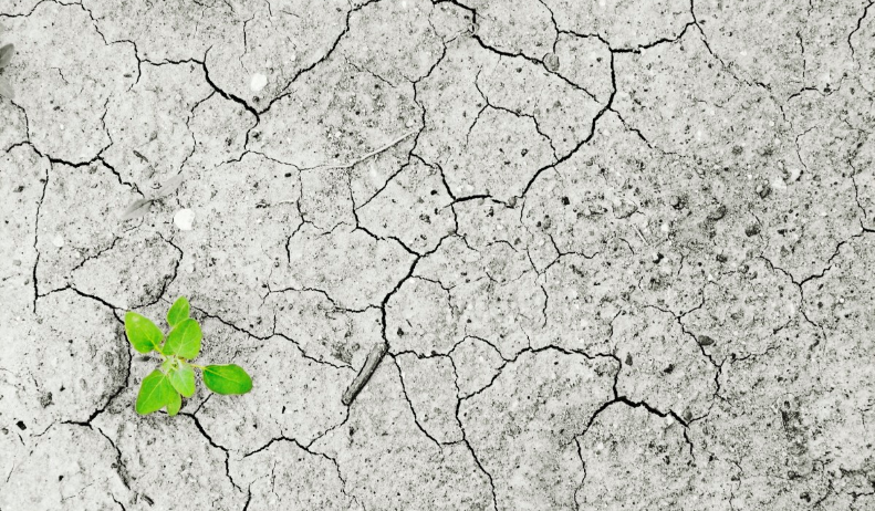 Unep: la temperatura è aumentata 170 volte più velocemente del normale