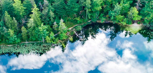 Per proteggere la biodiversità si devono eliminare i sussidi dannosi all’ambiente Per proteggere la biodiversità si devono eliminare i sussidi dannosi all’ambiente