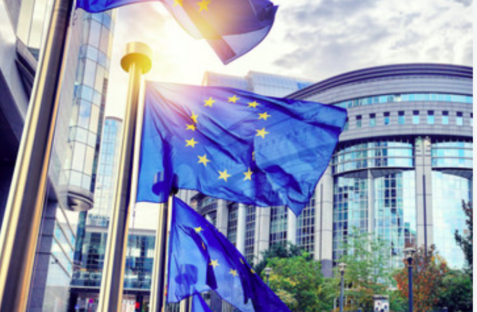 Appello dei Consigli economici e sociali: Agenda 2030 come strategia europea Appello dei Consigli economici e sociali: Agenda 2030 come strategia europea