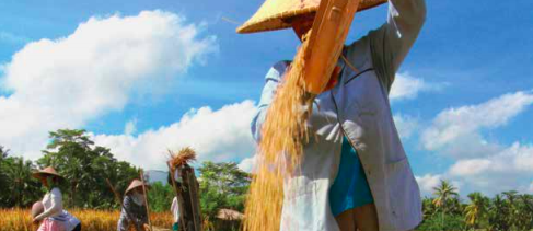Il World resources institute propone un’agenda contro lo spreco alimentare Il World resources institute propone un’agenda contro lo spreco alimentare