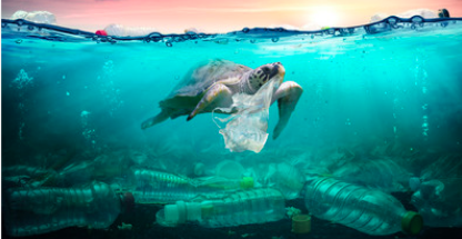 Una montagna di plastica: ogni ora vengono vendute 55 milioni di bottigliette Una montagna di plastica: ogni ora vengono vendute 55 milioni di bottigliette