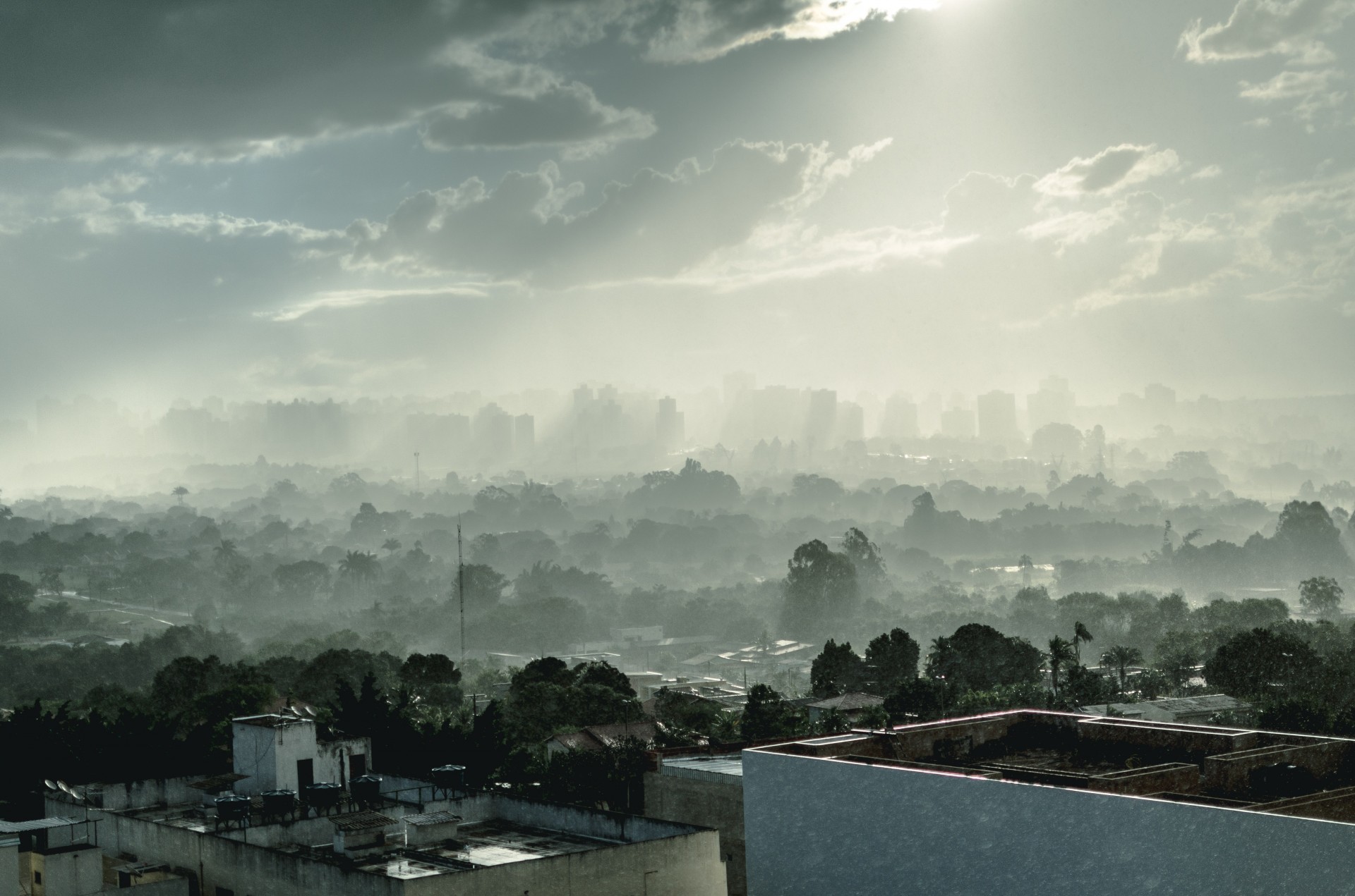 Smog oltre il limite: il rapporto dell’Eea e la strategia dell’Oms