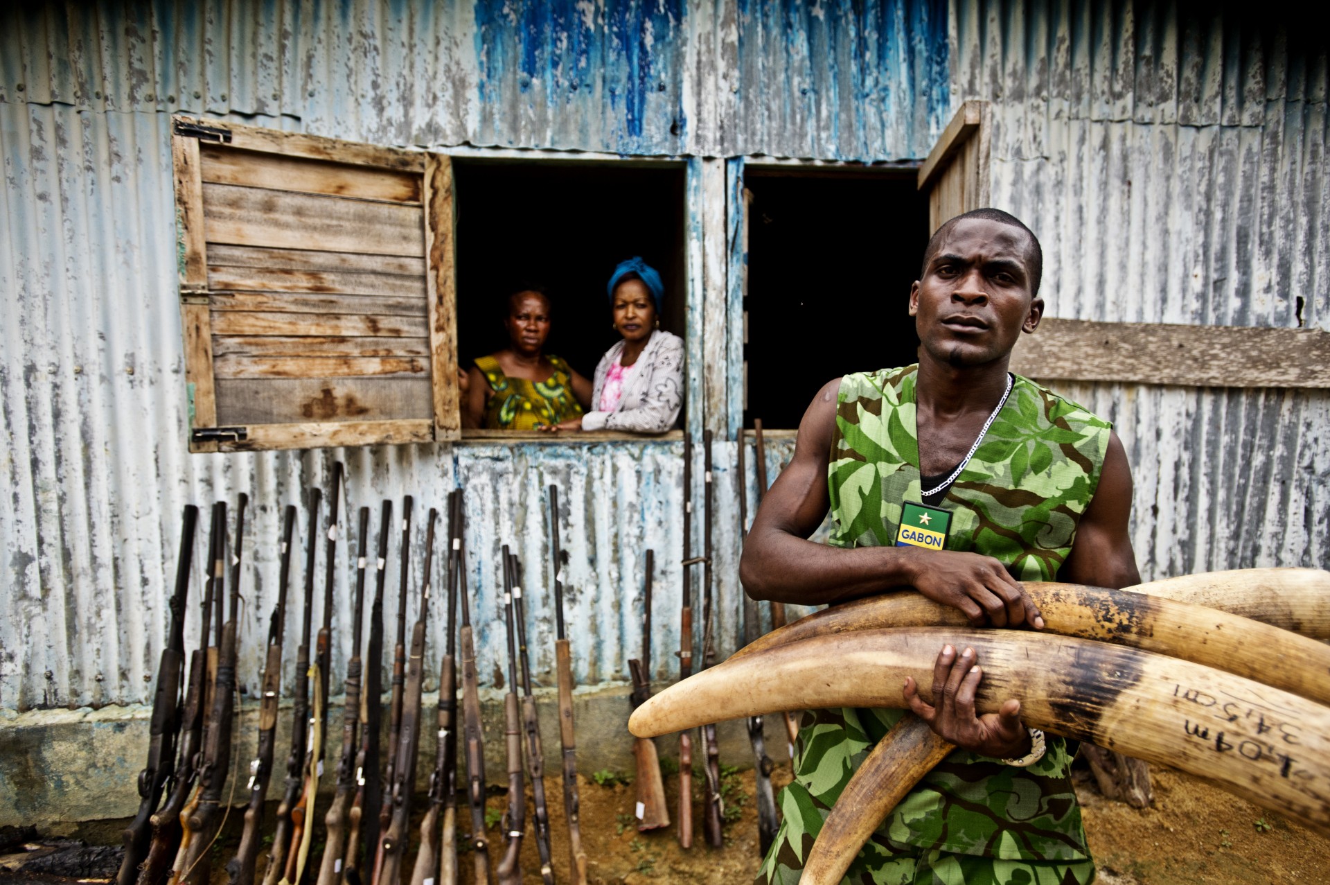 Cina: da gennaio 2018 messa al bando dell'avorio per salvare l'Elefante africano