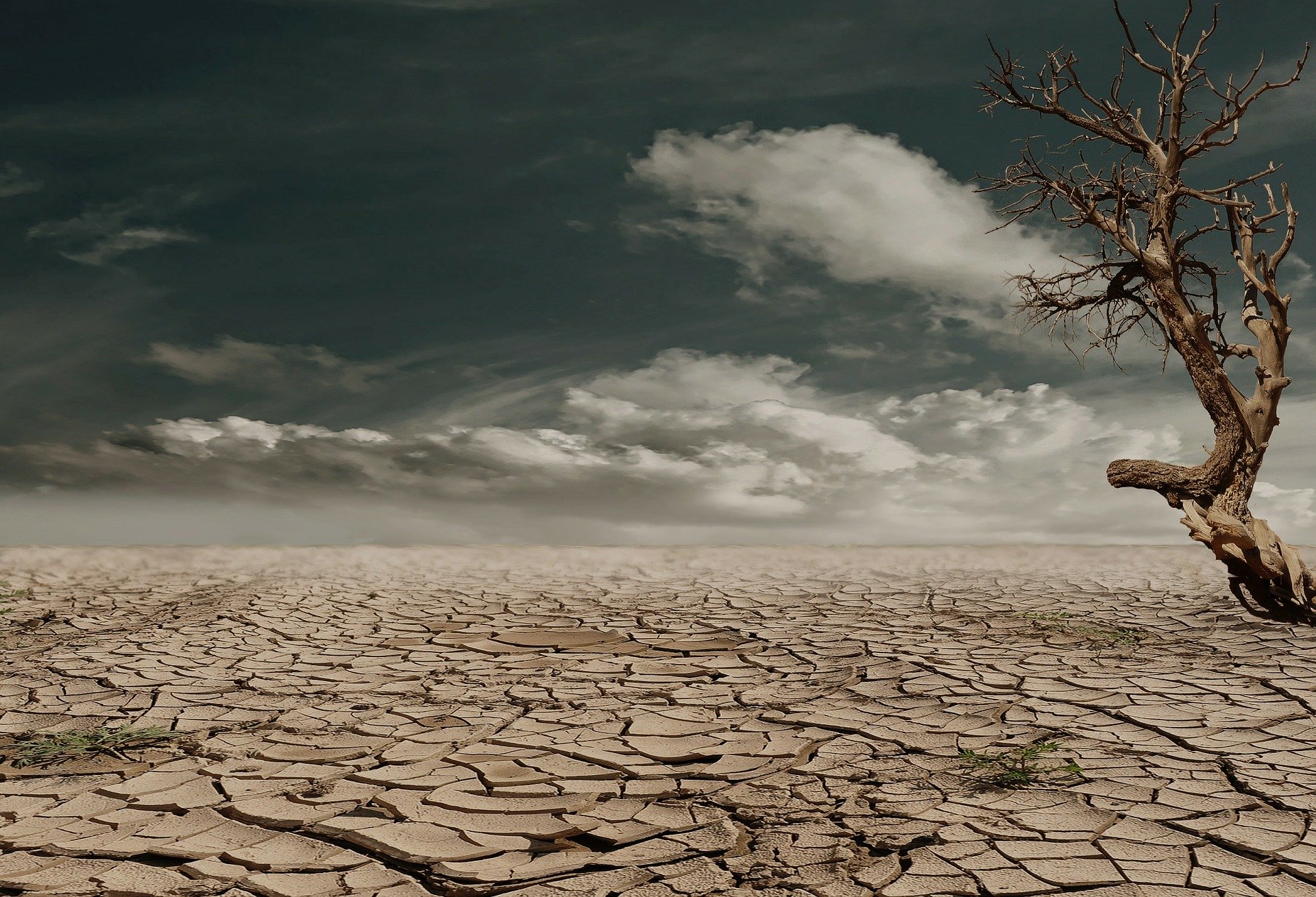 Bei: il 38% degli italiani prevede che emigrerà per il cambiamento climatico Bei: il 38% degli italiani prevede che emigrerà per il cambiamento climatico