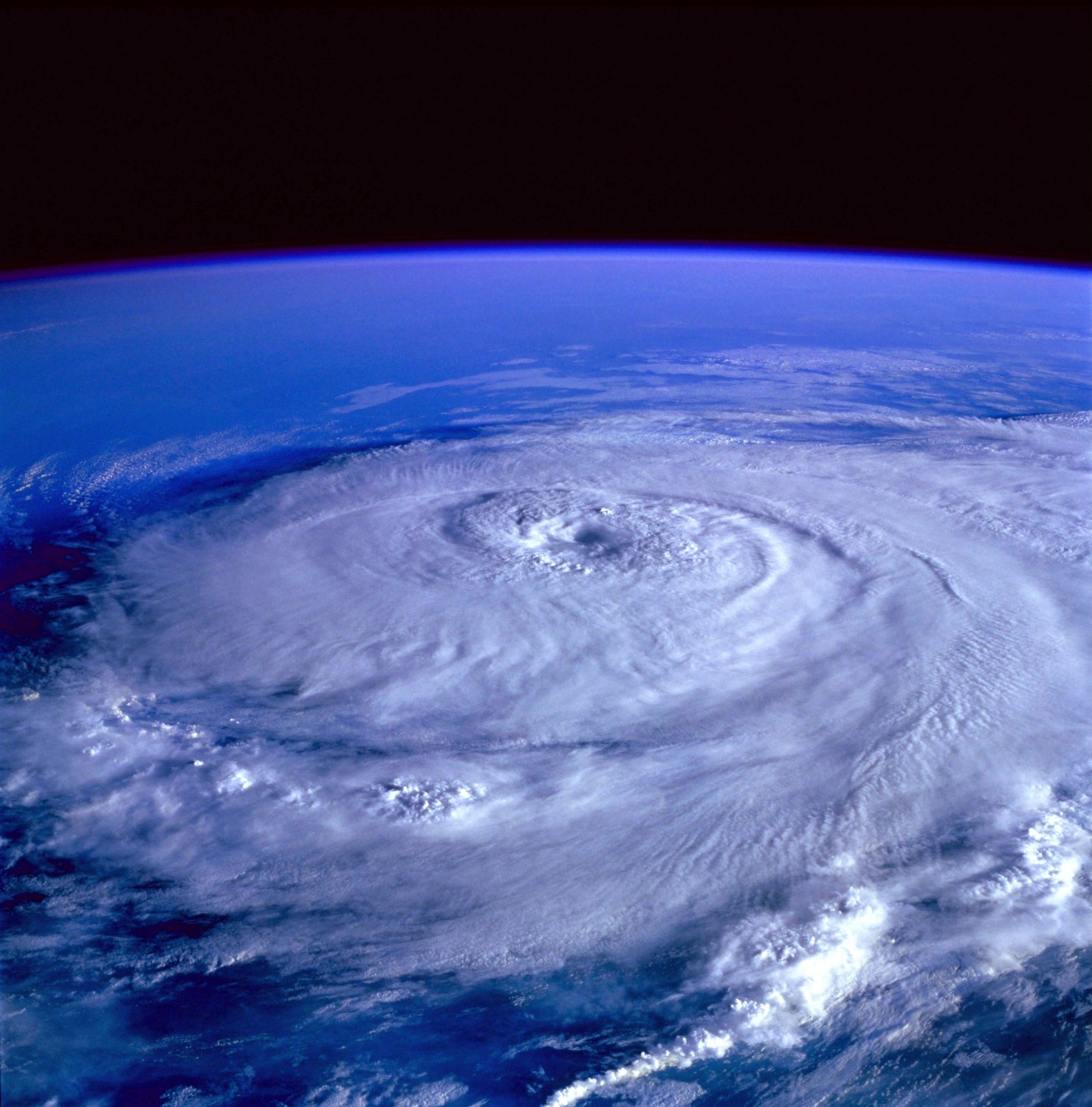 Global risks report 2020: i primi cinque rischi mondiali sono tutti ambientali Global risks report 2020: i primi cinque rischi mondiali sono tutti ambientali
