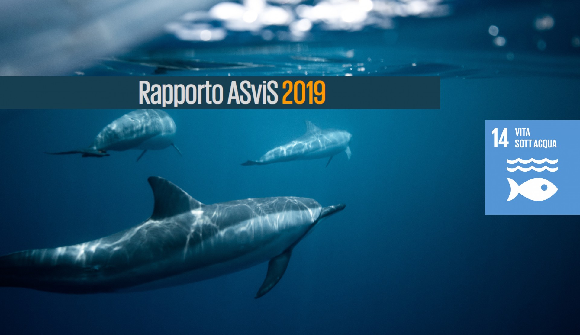 L’Italia e il Goal 14: dal 2015 il benessere di mari e oceani è in serio pericolo L’Italia e il Goal 14: dal 2015 il benessere di mari e oceani è in serio pericolo