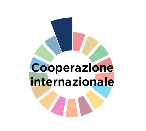 Lo stato della Cooperazione internazionale in Italia