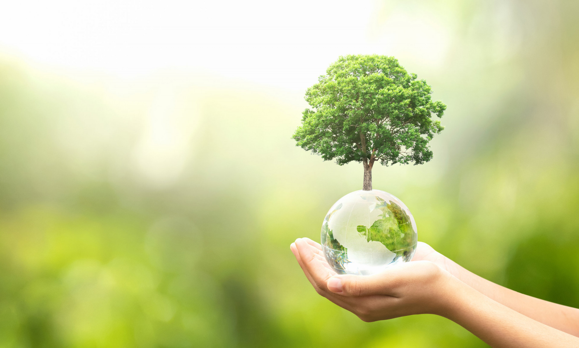 “Investi nel nostro pianeta”: le iniziative del 22 aprile, Giornata della Terra “Investi nel nostro pianeta”: le iniziative del 22 aprile
