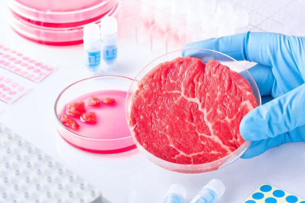 FOCUS. Le tante opportunità per frenare il consumo di carne