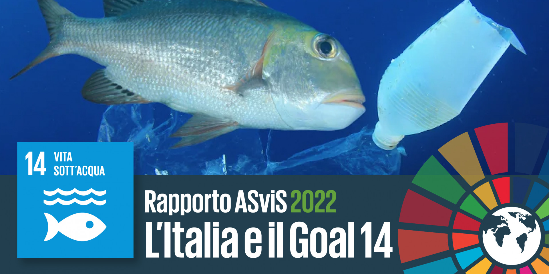 L’Italia e il Goal 14: attuare la Strategia marina e recuperare i gravi ritardi