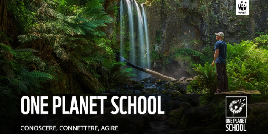 Online One planet school