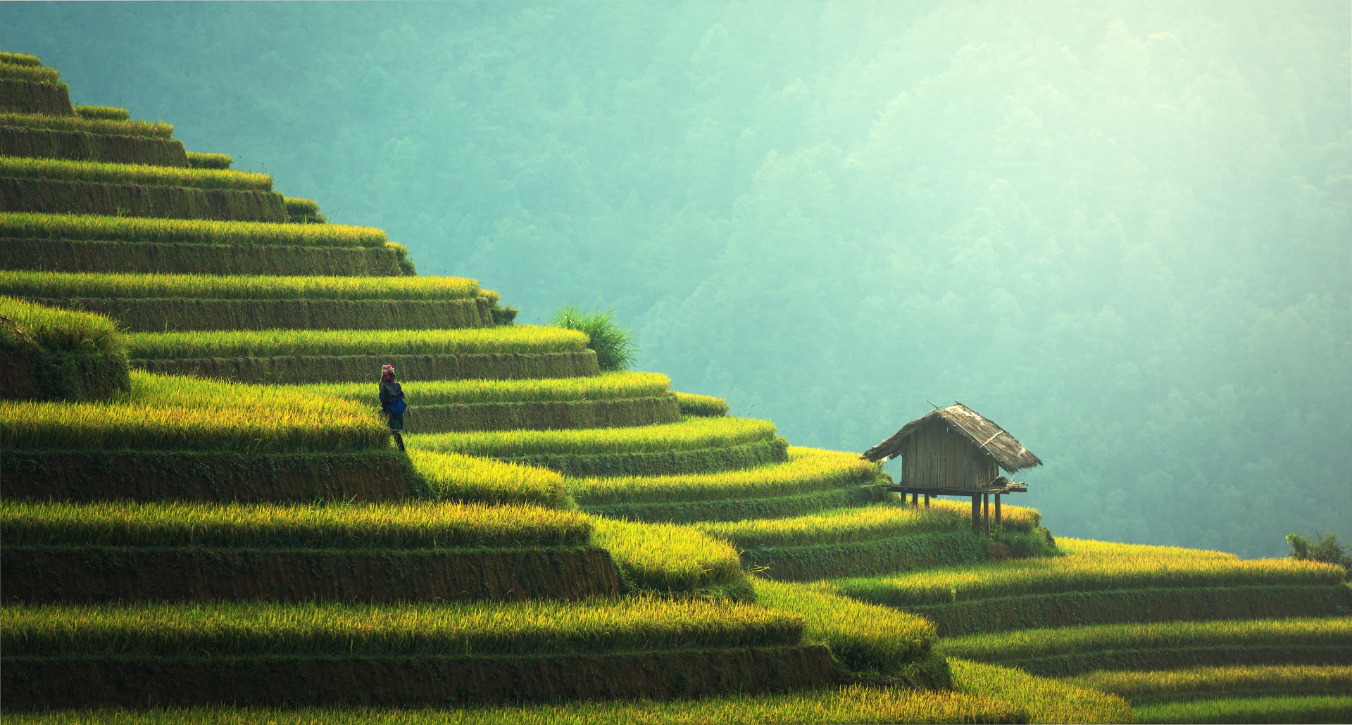 FOCUS. Dietro gli annunci della Cina: più crescita verde che lotta alle emissioni FOCUS. Dietro gli annunci della Cina: più crescita verde che lotta alle emissioni