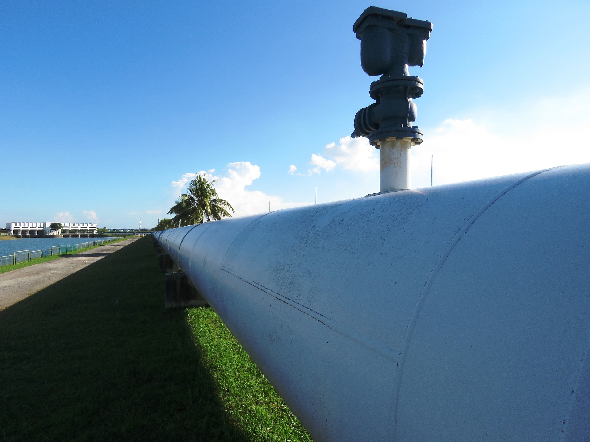 Il dilemma del gas: trappola o risorsa? Fino a quando ne avremo davvero bisogno?