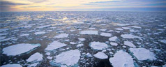 Il Global Climate Risk Index aiuta a prevenire i danni dei disastri ambientali