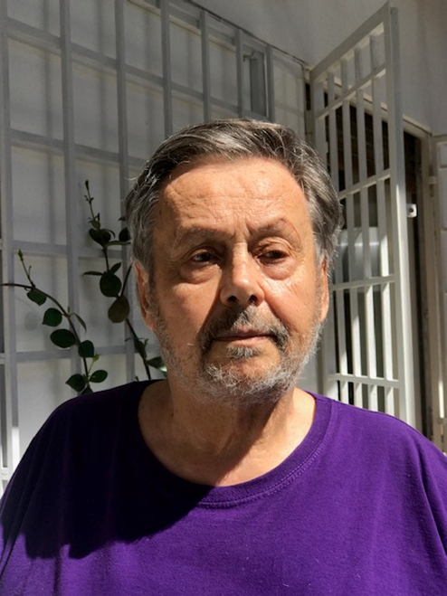 Scheggi Merlini
