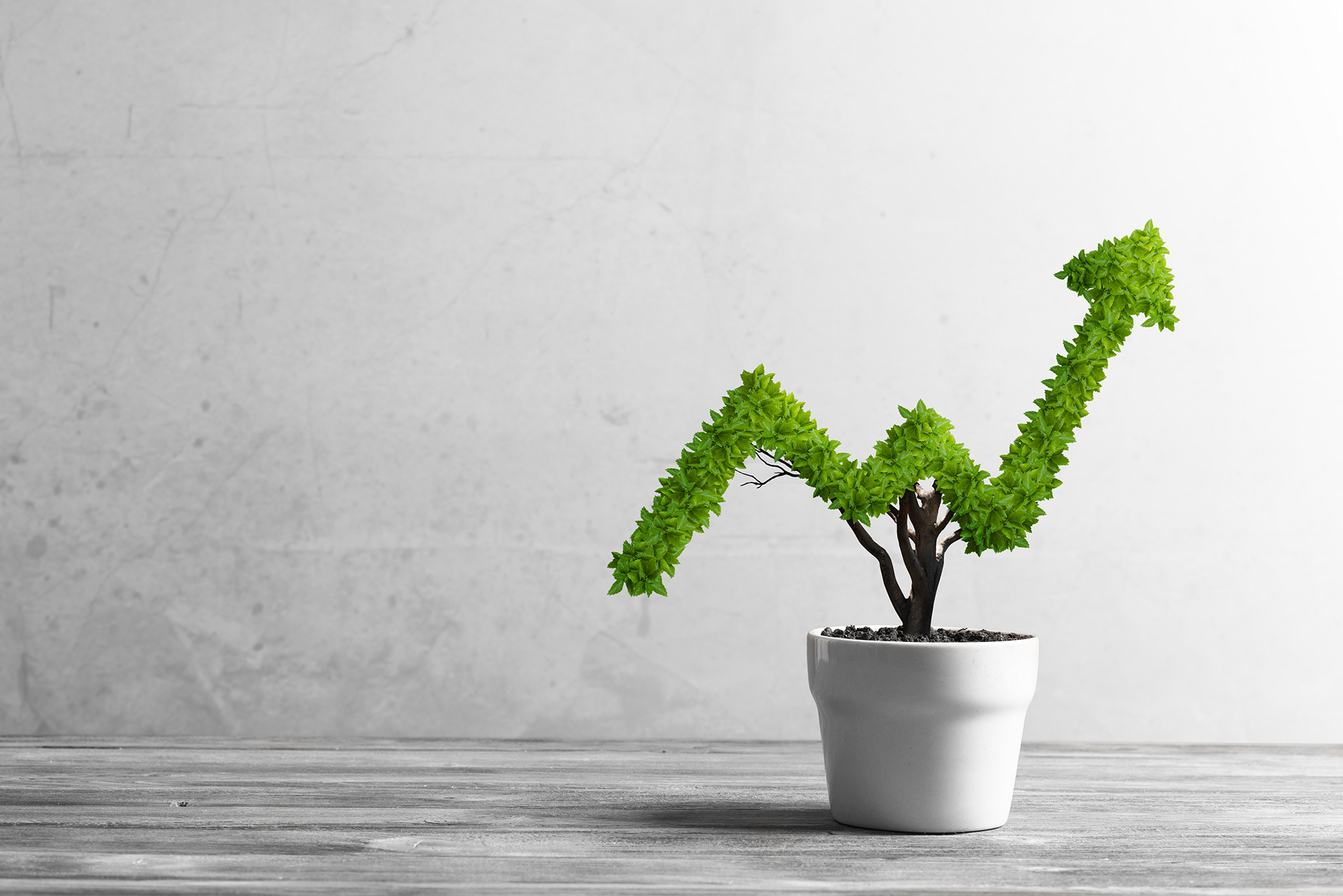 Il futuro della Terra tra soluzioni e opportunità di business La Bce effettuerà il suo primo stress test climatico tra marzo e luglio 2022