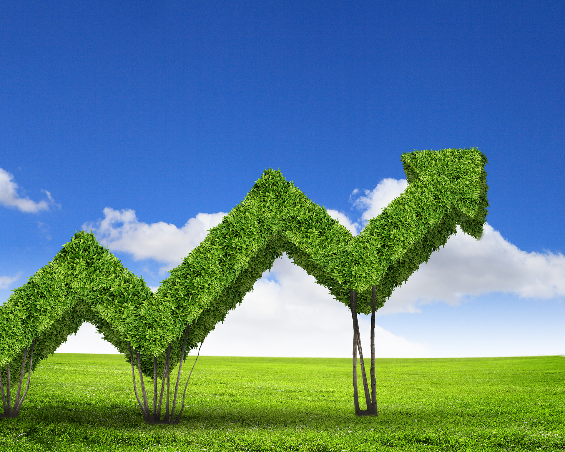 Salone Csr 2020: 206 aziende unite per mostrare i “Volti della sostenibilità” Wwf: l’economia nature-positive potrebbe creare 39 milioni di posti di lavoro