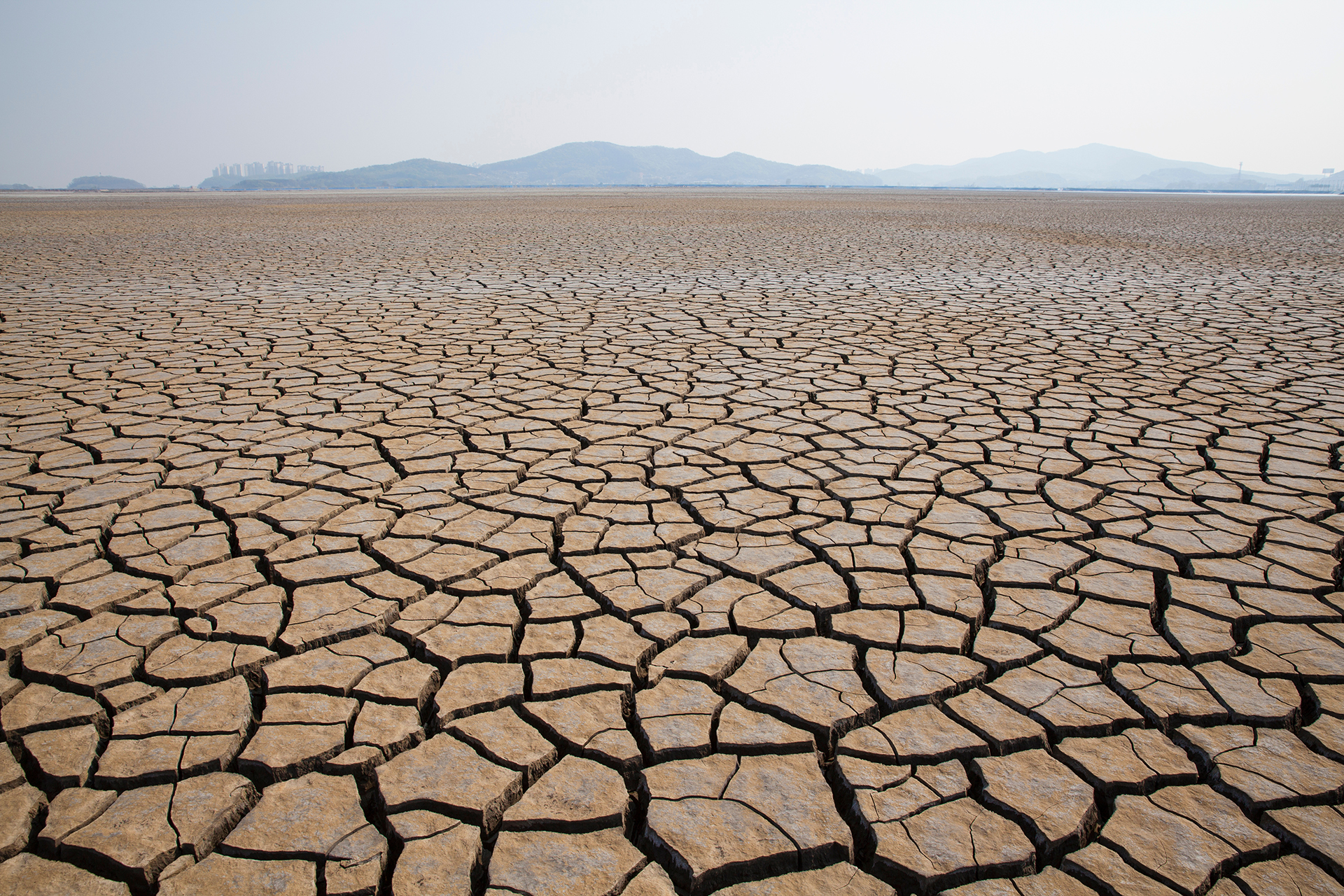 Snpa: cresce il consumo di suolo, nel 2021 il valore più alto degli ultimi 10 anni Clima: sempre più frequenti gli eventi estremi in Italia