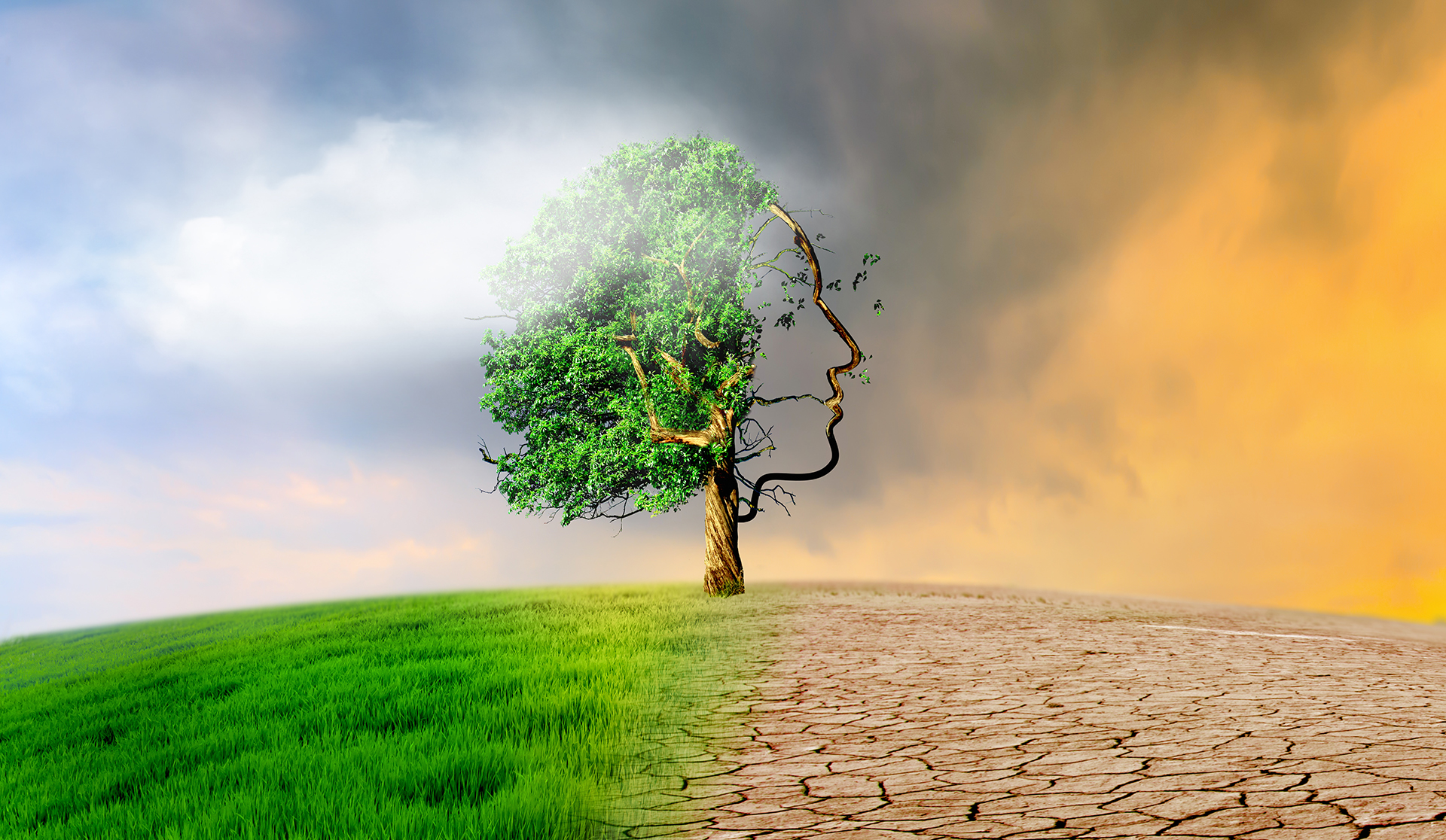 Rapporto Ispra: ecco dove la transizione ecologica è iniziata, e dove no I rischi climatici possono aggravare il 58% delle malattie infettive umane