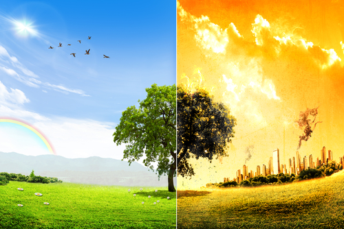Gli scienziati avvertono: è in corso un armageddon ecologico per gli insetti