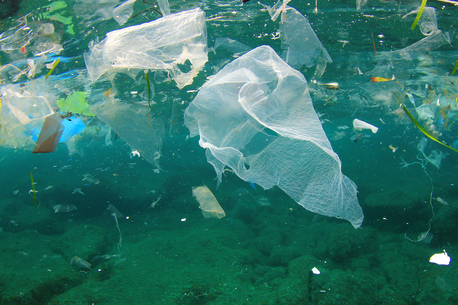 QUESTA SETTIMANA: Possiamo ridurre davvero l’inquinamento da plastica?
