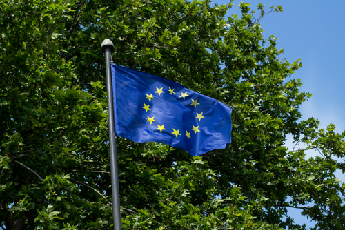 La Eea valuta le politiche di adattamento dei Paesi europei Unione europea e Agenda 2030: best practice e prospettive per la sostenibilità