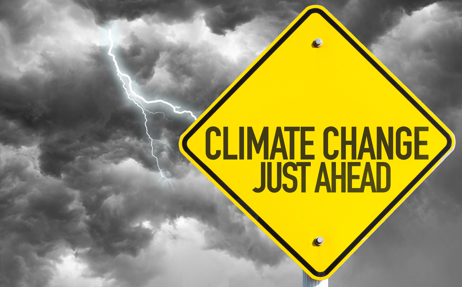 Momentum for change: le azioni in favore del clima che fanno la differenza