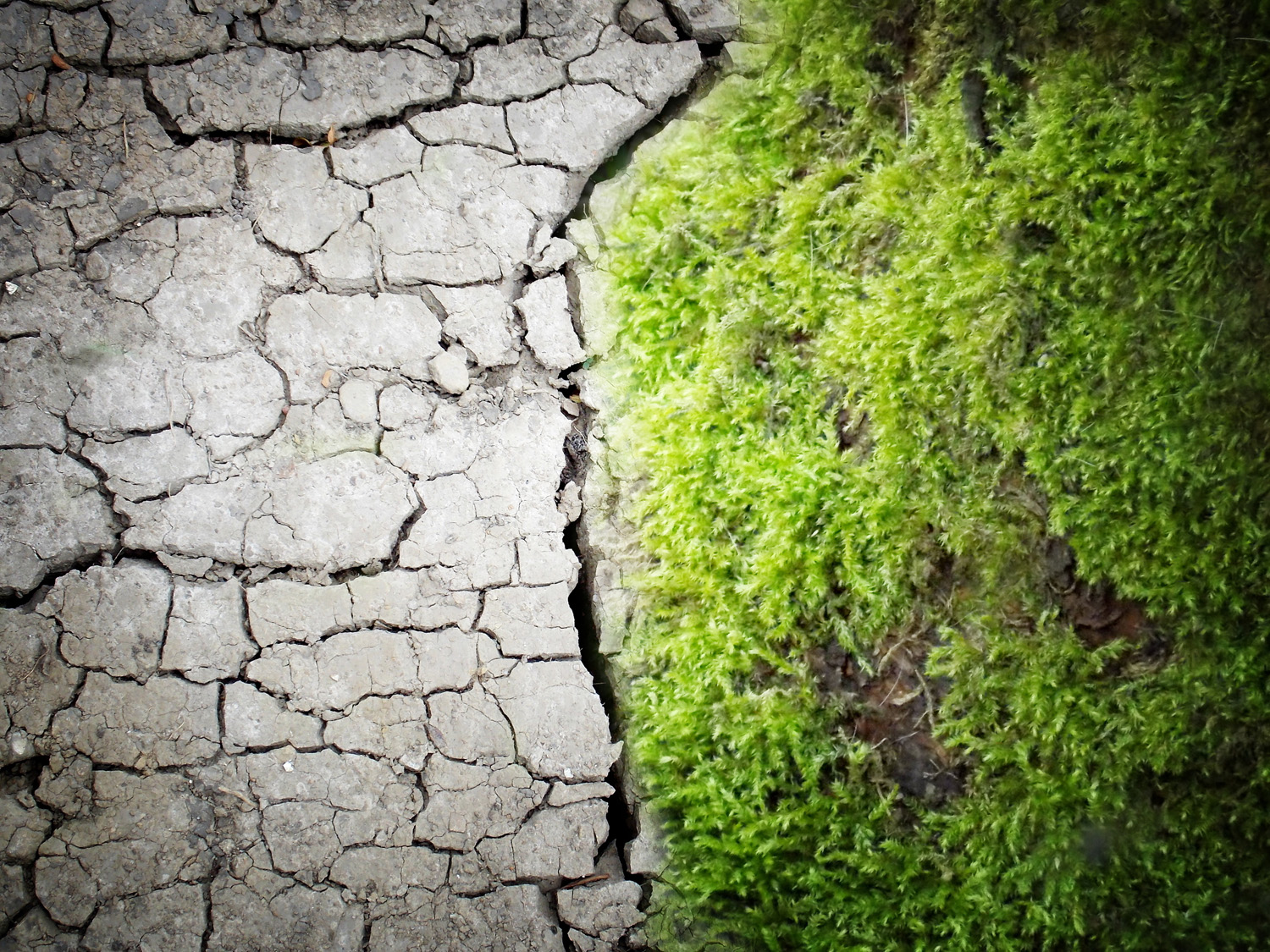 Allarme clima