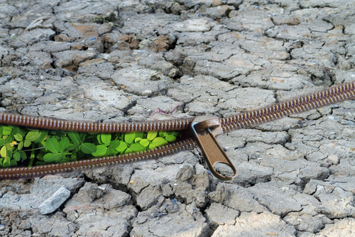 Un quinto dell'Italia a rischio siccità: l'allarme del Wwf Un quinto dell'Italia a rischio siccità: l'allarme del Wwf
