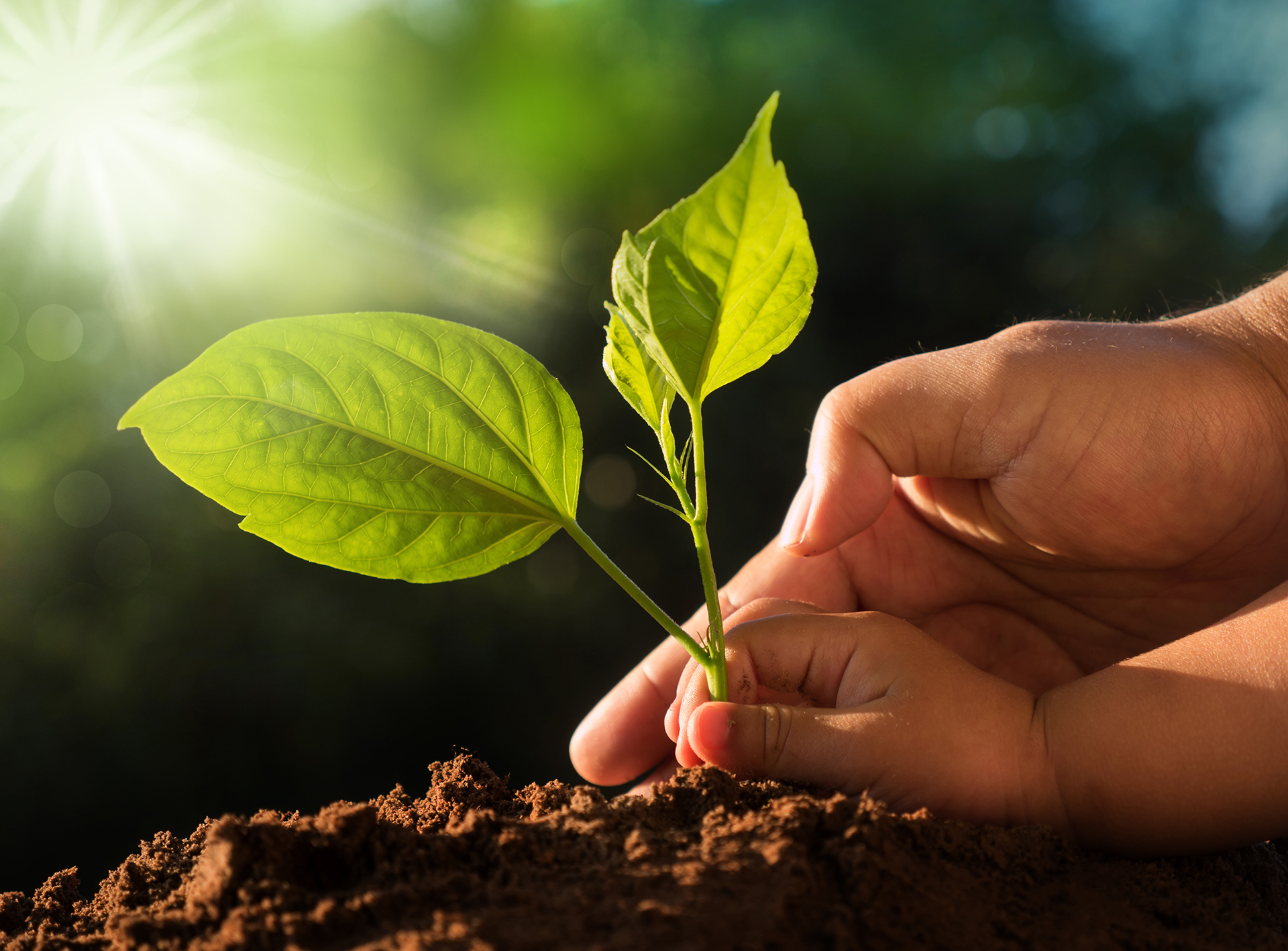 Sdsn: come allineare gli SDGs al Green deal europeo
