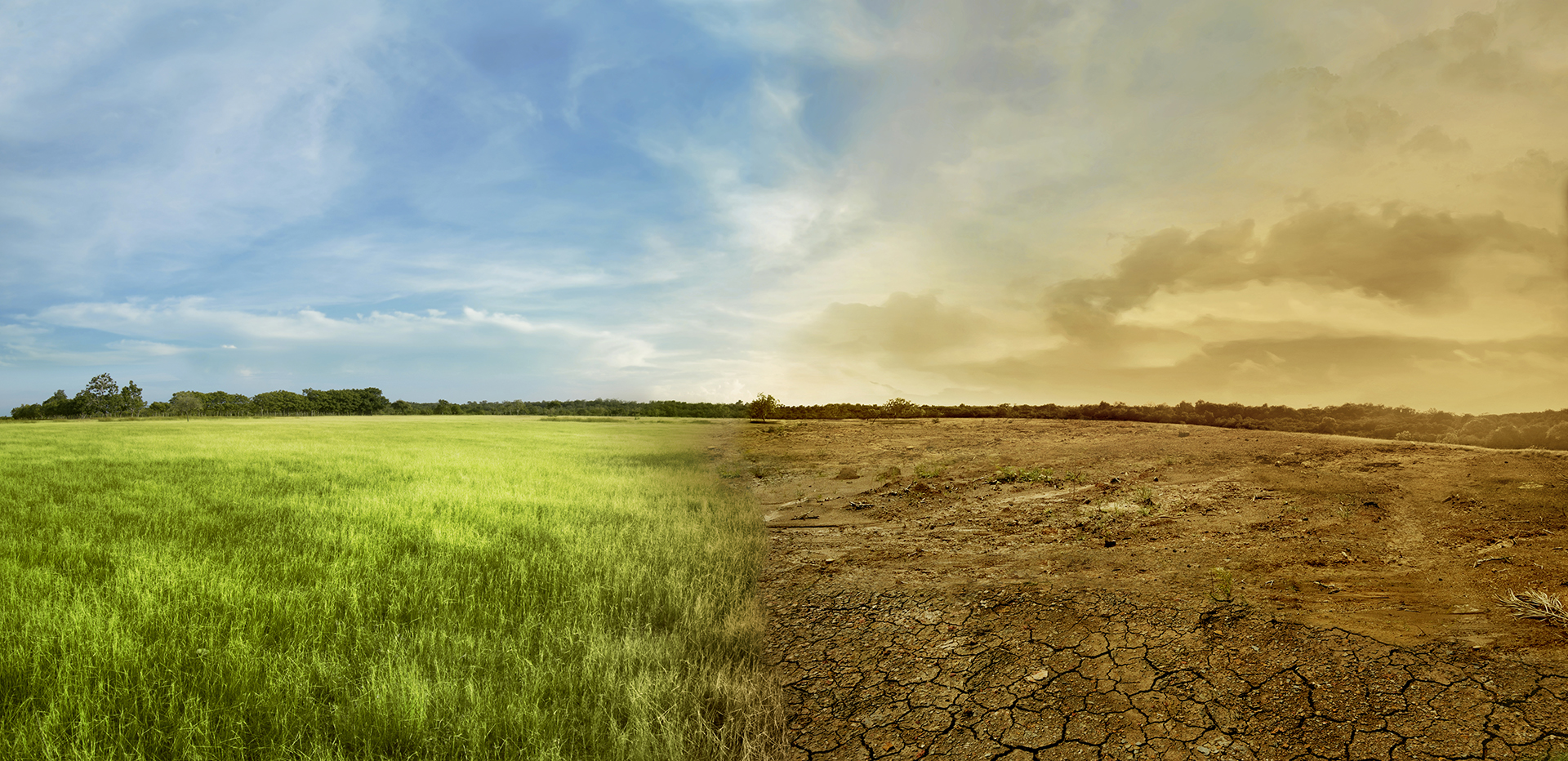 Corso Sna su adattamento al cambiamento climatico